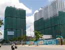Giới địa ốc mong sớm mở cửa cho khối ngoại