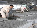 Thừa Thiên Huế đẩy mạnh phát triển sản phẩm vật liệu xây dựng xanh