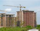 Mạnh tay với lãng phí đất công