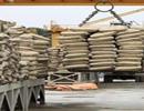 Nan giải bài toán ổn định giá xi măng