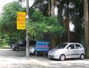 Sốt đất ảo khu vực cầu Nhật Tân
