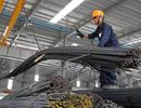 Mức tiêu thụ vật liệu xây dựng đang tăng