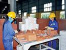 Xuất khẩu vật liệu xây dựng: Chiến lược dài hạn