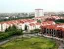 Tổng cục Thuế hướng dẫn chính sách thu tiền thuế đất