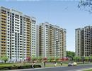 Dòng tiền đang chảy về bất động sản