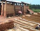 Đề xuất tăng thuế đất làm gạch, khuyến khích phát triển gạch không nung