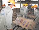 Xuất khẩu xi măng: Không thể phung phí tài nguyên bằng mọi giá