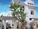 Cuộc đua biệt thự ven đô và chung cư nội thành đã quay trở lại