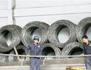 Báo động nhập siêu ngành thép