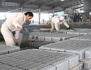 Yêu cầu báo cáo tình hình phát triển vật liệu xây không nung