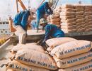 Doanh nghiệp xi măng trước sức ép tăng giá bán