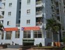 TP.HCM: Giá bán nhà thuộc sở hữu nhà nước tại chung cư P.12, Q. Bình Thạnh