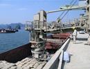 6 tháng, tiêu thụ trên 34 triệu tấn xi măng