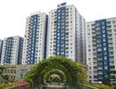 Bảo lãnh không làm tăng giá nhà