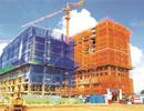 Sôi động thị trường chuyển nhượng