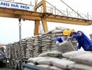 6 tháng đầu năm, mức tiêu thụ VLXD vượt dự báo