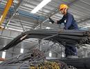 Ngành thép Việt Nam đứng trước nhiều khó khăn trong thời kỳ hội nhập
