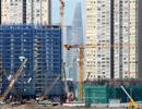 Thị trường bất động sản phục hồi: “Chớ vội lạc quan”