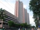 Thuận Kiều Plaza: Từ dự án bậc nhất Sài Gòn đến hoang phế