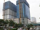Nhiễu loạn thông tin vì môi giới tự phát