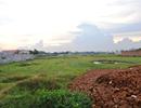 TP. HCM: Triển khai Nghị định 11/2013 của Chính phủ