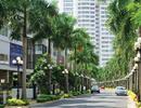 Thị trường quý III, tiếp tục đột khởi