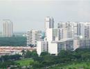 TPHCM: Quy hoạch phát triển VLXD đến năm 2020, định hướng đến 2030
