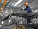 Thêm rào cản với thép Việt