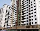 Bất động sản phục hồi giúp ngân hàng 'thổi bay' nợ xấu