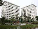 Doanh nghiệp không 'mặn' với nhà ở cho người nghèo