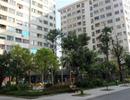 Người thu nhập thấp tiết kiệm 25 năm mới mua được nhà giá rẻ