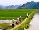Chính phủ muốn miễn thuế đất nông nghiệp đến hết 2020