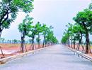 Giá đất Đà Nẵng tăng mạnh