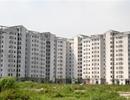 Hà Nội: Bị "nẫng mất" 2.000 căn hộ tái định cư, chính quyền bó tay?