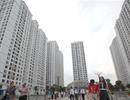 Tránh độc quyền xếp hạng chung cư