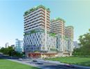Nhộn nhịp thanh khoản bất động sản cuối năm