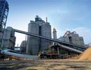 Doanh số kinh doanh xi măng của Indonesia tăng 6,2% trong tháng 5