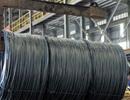 Nhập khẩu thép tăng gần 50% trong 5 tháng đầu năm