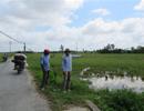 Tự ý phân lô bán nền đất nông nghiệp tại Hải Phòng: Gần 20ha đất ruộng bỏ hoang