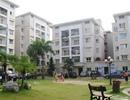 Sớm trả kinh phí bảo trì nhà chung cư cho người dân