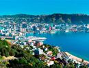 Kinh tế New Zealand tăng trưởng nhờ lĩnh vực sản xuất xi măng