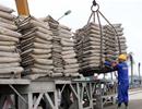 “Bão” nổi trên thị trường xi măng