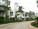 Tài sản và câu chuyện đánh thuế