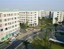 450 tỷ đồng cho đo đạc, cấp giấy chứng nhận quyền sử dụng đất