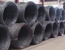Sẽ áp thuế tự vệ đối với thép cuộn nhập khẩu
