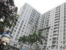 Thời điểm ‘đẻ trứng vàng’ của nhà giá rẻ