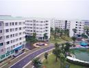 Người vay gói 30.000 tỷ tiếp tục trả lãi suất 5%