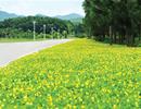 Phân khúc nhà ở có mức giá phù hợp sẽ giúp thị trường khởi sắc