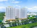 Cần có nhiều loại sản phẩm nhà ở xã hội