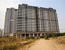 Hơn 400 khách hàng ra sao khi PVCLand phá sản?